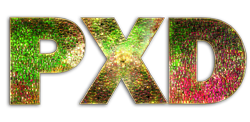 PXD-Logo
